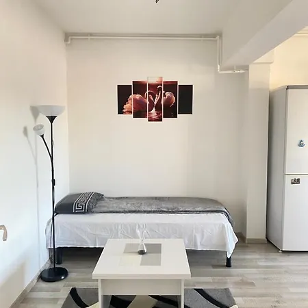 Appartement Comfort Class Boekarest